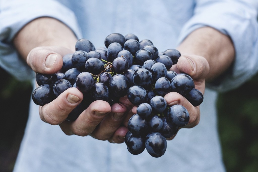 organic-grapes
